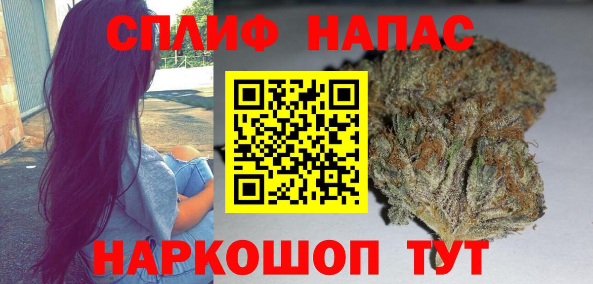 Каннабис конопля Узловая